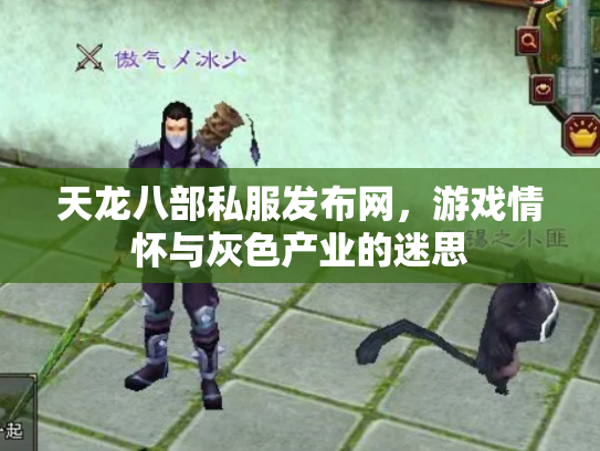 天龙八部私服发布网，游戏情怀与灰色产业的迷思