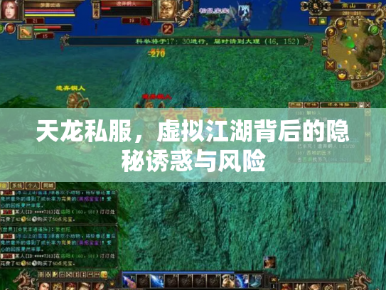 天龙私服，虚拟江湖背后的隐秘诱惑与风险
