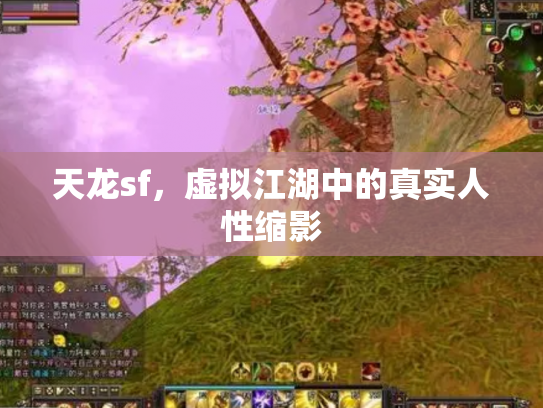 天龙sf，虚拟江湖中的真实人性缩影