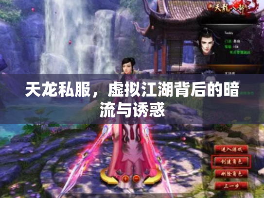 天龙私服，虚拟江湖背后的暗流与诱惑