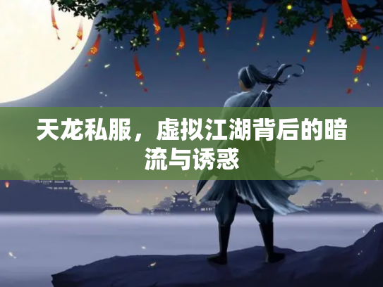 天龙私服，虚拟江湖背后的暗流与诱惑