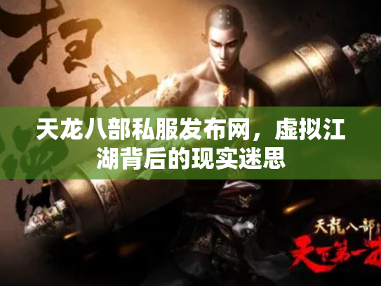 天龙八部私服发布网，虚拟江湖背后的现实迷思