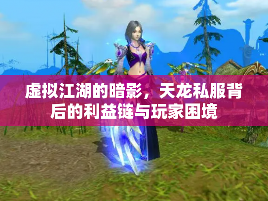 虚拟江湖的暗影，天龙私服背后的利益链与玩家困境