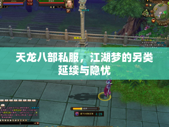 天龙八部私服，江湖梦的另类延续与隐忧