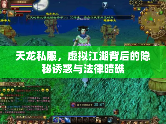 天龙私服，虚拟江湖背后的隐秘诱惑与法律暗礁