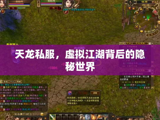 天龙私服，虚拟江湖背后的隐秘世界