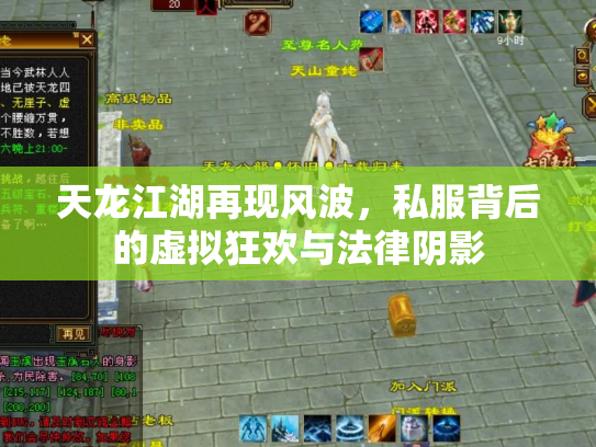 天龙江湖再现风波，私服背后的虚拟狂欢与法律阴影