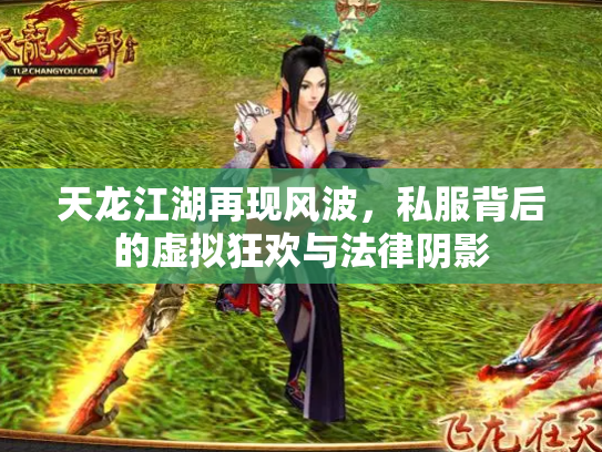 天龙江湖再现风波，私服背后的虚拟狂欢与法律阴影