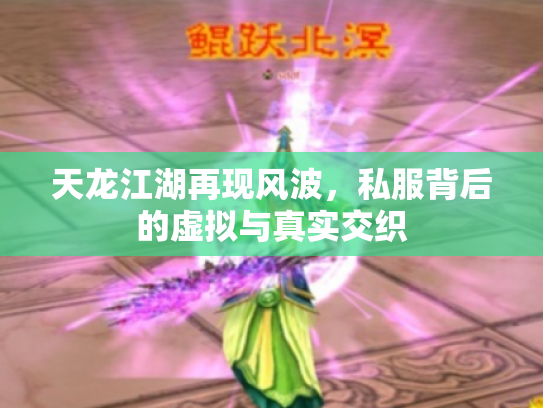 天龙江湖再现风波，私服背后的虚拟与真实交织