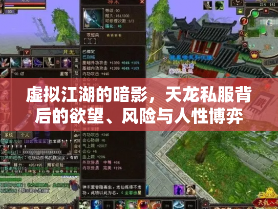 虚拟江湖的暗影，天龙私服背后的欲望、风险与人性博弈