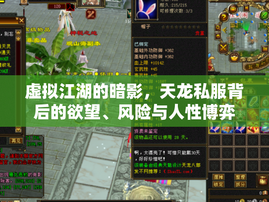 虚拟江湖的暗影，天龙私服背后的欲望、风险与人性博弈