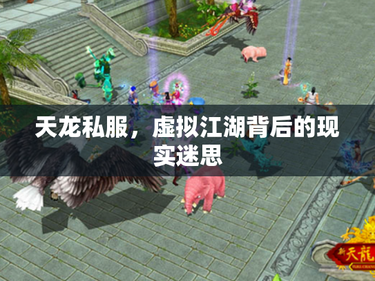 天龙私服，虚拟江湖背后的现实迷思