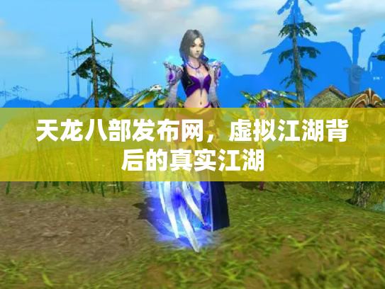 天龙八部发布网，虚拟江湖背后的真实江湖