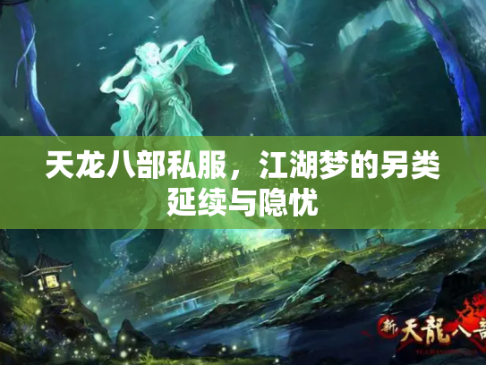天龙八部私服，江湖梦的另类延续与隐忧
