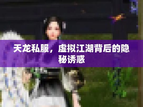 天龙私服，虚拟江湖背后的隐秘诱惑