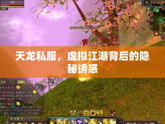 天龙私服，虚拟江湖背后的隐秘诱惑