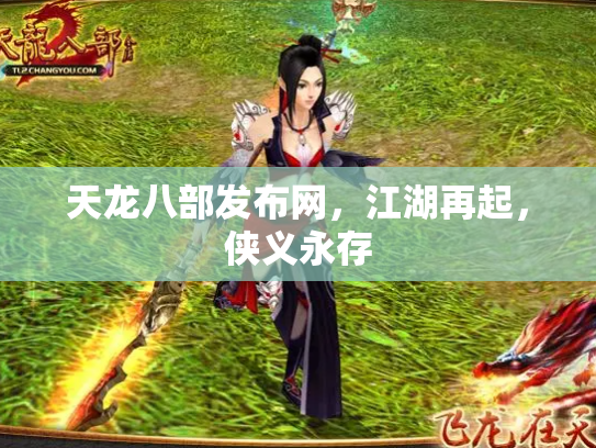 天龙八部发布网，江湖再起，侠义永存