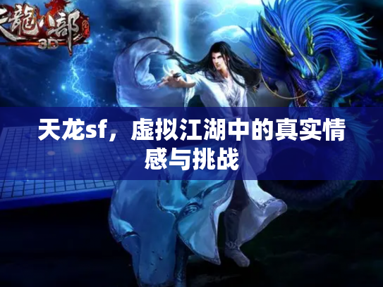 天龙sf，虚拟江湖中的真实情感与挑战