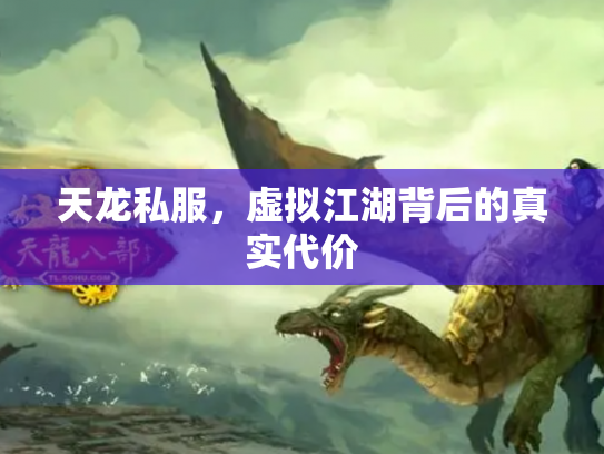 天龙私服，虚拟江湖背后的真实代价