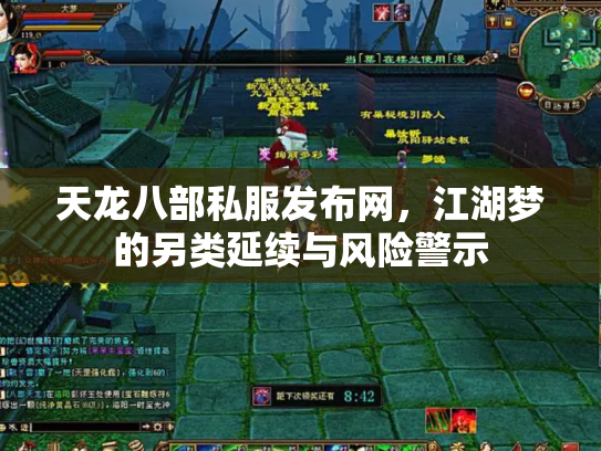 天龙八部私服发布网，江湖梦的另类延续与风险警示