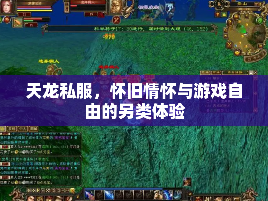 天龙私服，怀旧情怀与游戏自由的另类体验