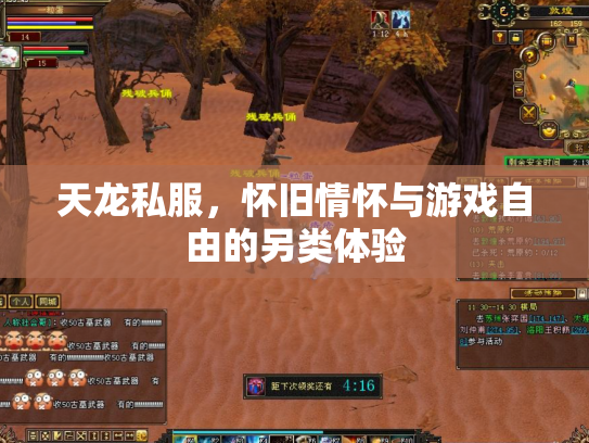 天龙私服，怀旧情怀与游戏自由的另类体验