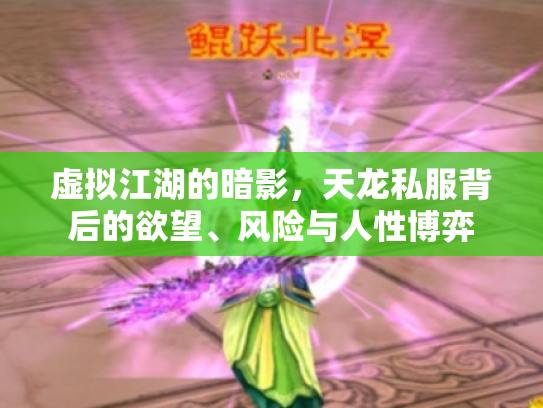 虚拟江湖的暗影，天龙私服背后的欲望、风险与人性博弈