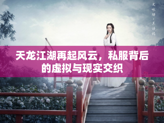 天龙江湖再起风云，私服背后的虚拟与现实交织