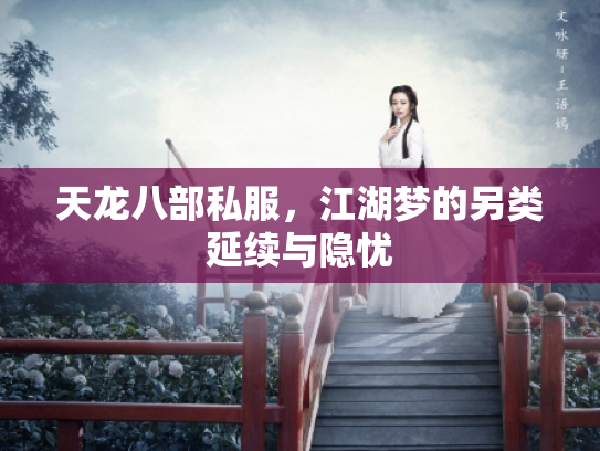 天龙八部私服，江湖梦的另类延续与隐忧