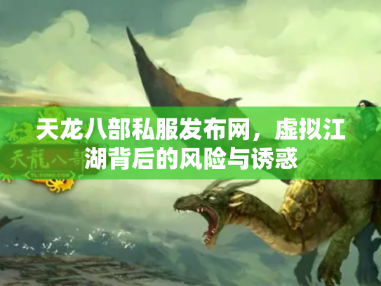 天龙八部私服发布网，虚拟江湖背后的风险与诱惑