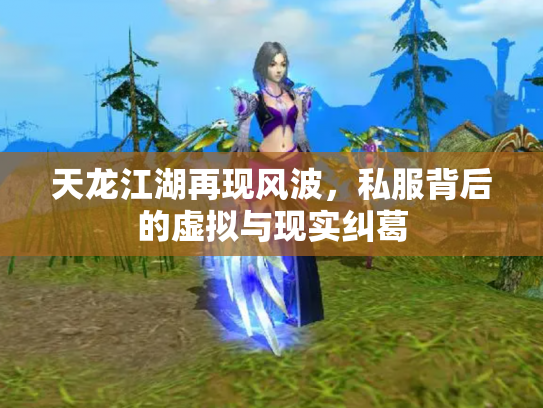 天龙江湖再现风波，私服背后的虚拟与现实纠葛