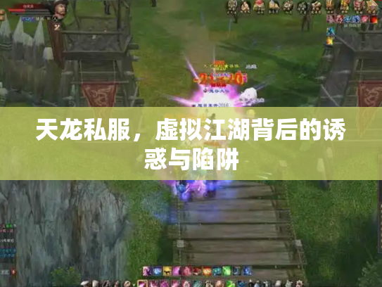 天龙私服，虚拟江湖背后的诱惑与陷阱