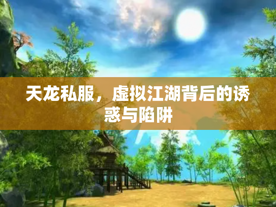 天龙私服，虚拟江湖背后的诱惑与陷阱