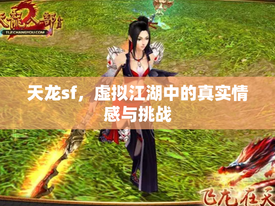 天龙sf，虚拟江湖中的真实情感与挑战