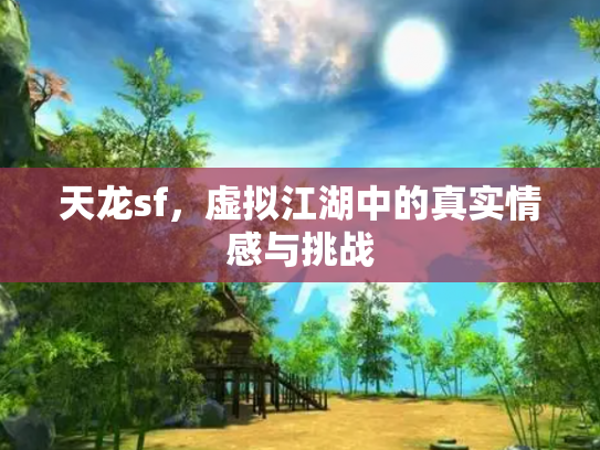 天龙sf，虚拟江湖中的真实情感与挑战
