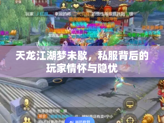 天龙江湖梦未歇，私服背后的玩家情怀与隐忧