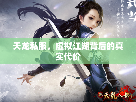 天龙私服，虚拟江湖背后的真实代价