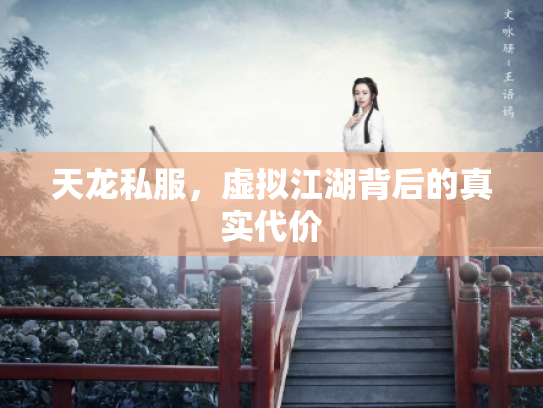 天龙私服，虚拟江湖背后的真实代价
