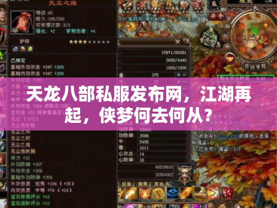 天龙八部私服发布网，江湖再起，侠梦何去何从？