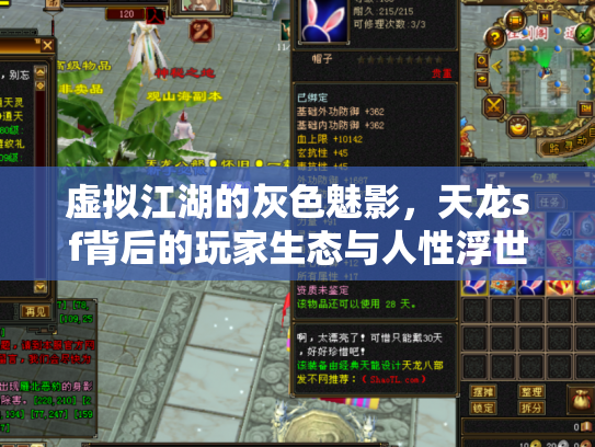 虚拟江湖的灰色魅影，天龙sf背后的玩家生态与人性浮世绘