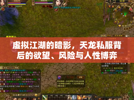 虚拟江湖的暗影，天龙私服背后的欲望、风险与人性博弈