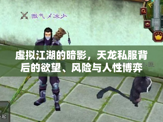 虚拟江湖的暗影，天龙私服背后的欲望、风险与人性博弈