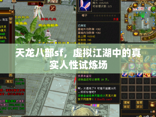 天龙八部sf，虚拟江湖中的真实人性试炼场