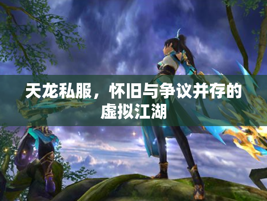 天龙私服，怀旧与争议并存的虚拟江湖