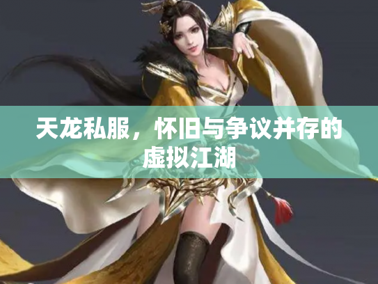 天龙私服，怀旧与争议并存的虚拟江湖