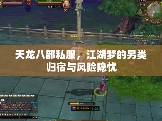 天龙八部私服，江湖梦的另类归宿与风险隐忧