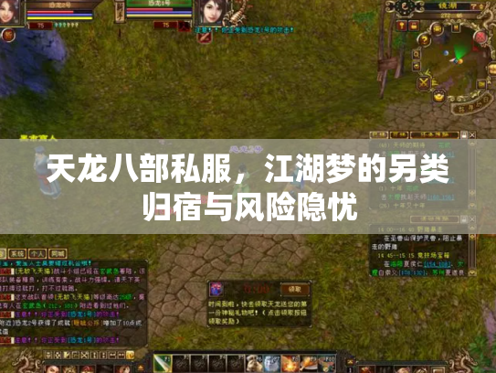 天龙八部私服，江湖梦的另类归宿与风险隐忧
