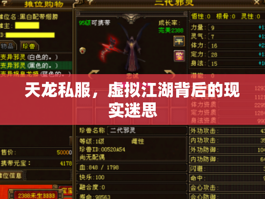 天龙私服，虚拟江湖背后的现实迷思