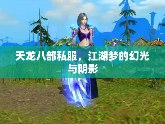 天龙八部私服，江湖梦的幻光与阴影