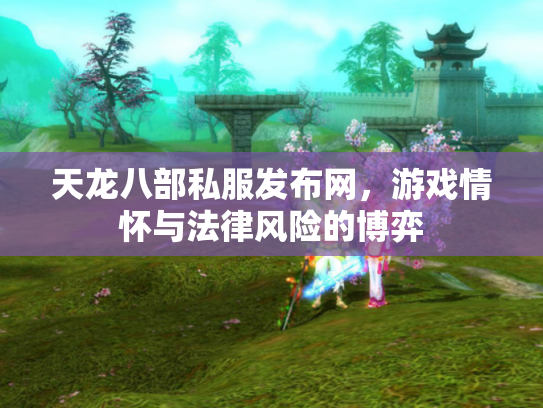 天龙八部私服发布网，游戏情怀与法律风险的博弈